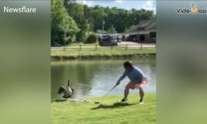 Golfing Fail Moments