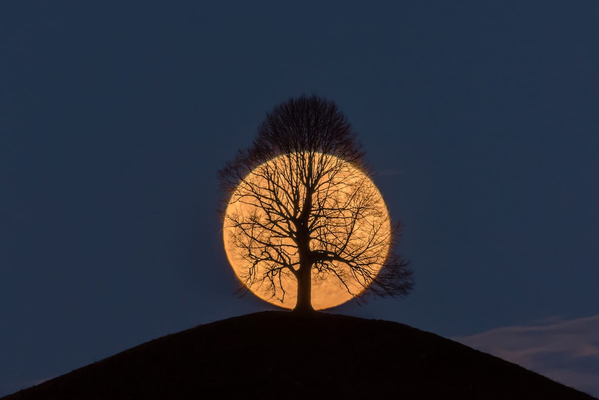 Epoch Times Photo