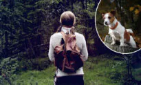 Kentucky Woman Lost in the Woods for 48 Hours Found by Search Dog Named Pocket