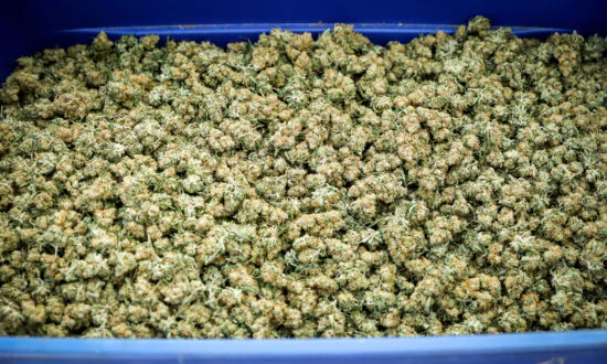 Villanueva: Antelope Valley Pot Raids Seized $1.19B in Marijuana