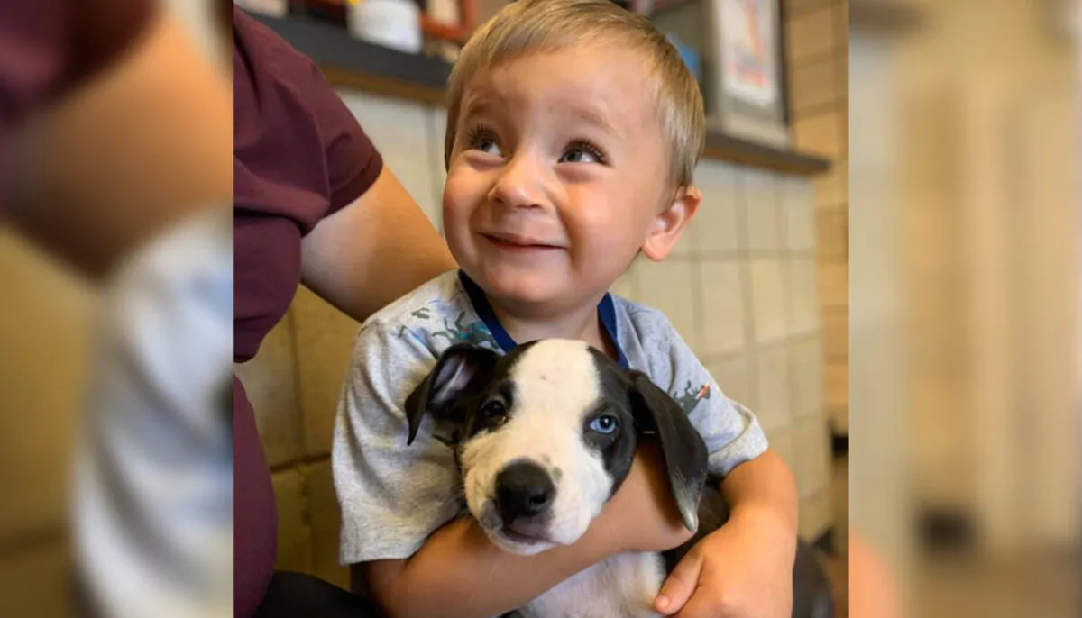 (Courtesy of Jackson County Animal Shelter - Michigan)