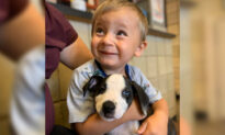 Toddler Born With a Cleft Lip Adopts Puppy With the Same Condition From a Michigan Shelter