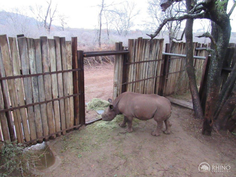 Epoch Times Photo