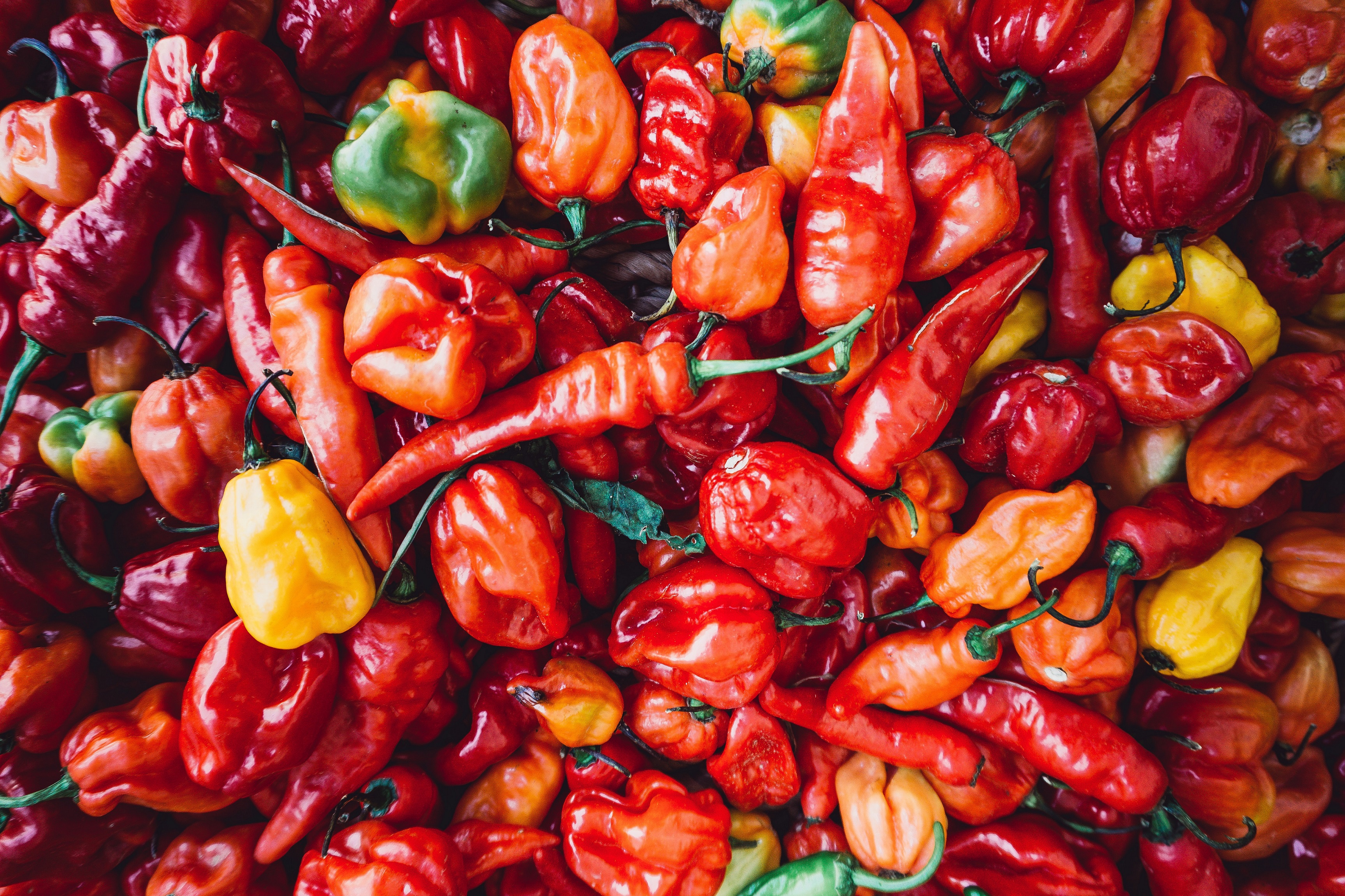 timothy-l-brock-WJ5mej6mWi4-unsplash