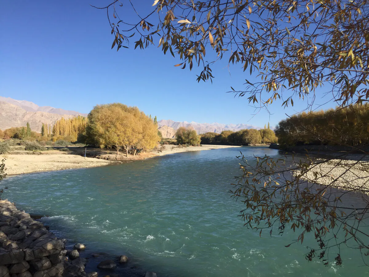 Snow Trout is native to the Indus River in the Himalayas. This picture is of the Indus River in the outskirts of Leh, India on Oct. 9, 2020. (Venus Upadhayaya/Epoch Times)