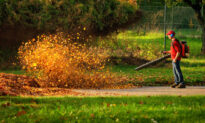 Rakes Versus Leaf Blowers: Benefits and Drawbacks
