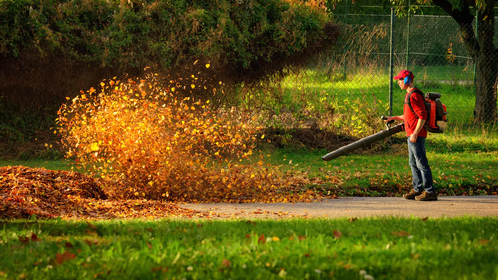 Leaf blowers can be battery-operated, electric, or gas-powered. (Smileus/Shutterstock)