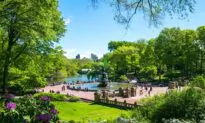 The Olmsted Legacy: A Core Belief in the Inherent Goodness of People and Nature