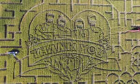 California’s Largest Corn Maze Dedicates Theme to Healthcare Workers and First Responders