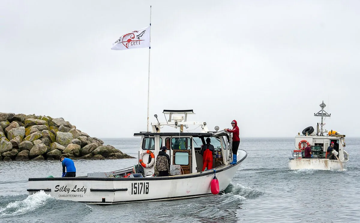 Indigenous lobster boats head out from the harbour in Saulnierville, N.S., Oct. 21, 2020. (The Canadian Press/Andrew Vaughan)