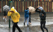 Rain and Wind Lash NSW as Temperature Drops