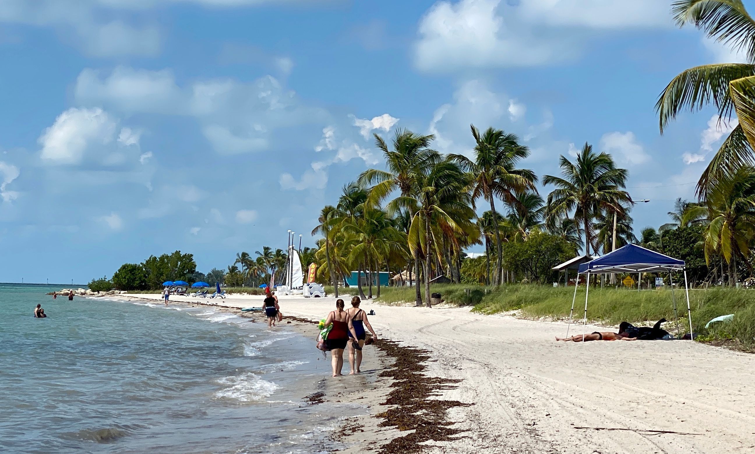 Finding Old Florida - Vimarsana News