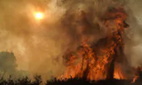 Orange County’s Emergency Management Director Resigns