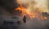 Study Links Excess COVID-19 Cases and Deaths to Wildfire Smoke