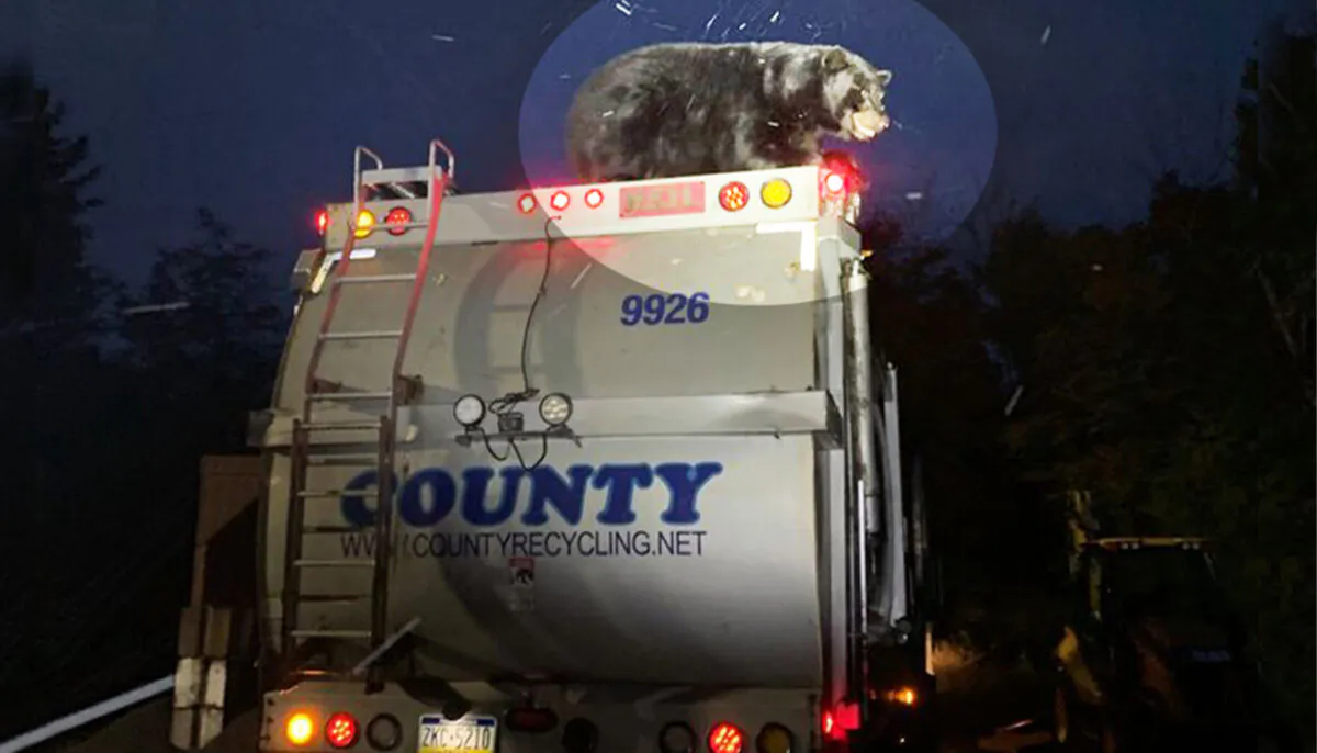 (Courtesy of Kidder Township Police)