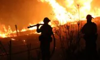 Swirling Wind Gusts Continue to Fuel Silverado Fire in Orange County