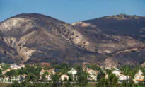Limestone Canyon Nature Preserve to Reopen in February After Closure Due to Wildfires