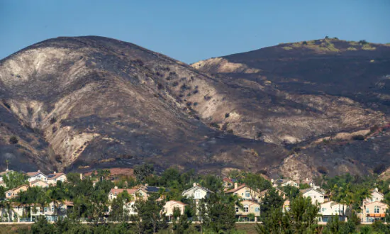 Limestone Canyon Nature Preserve to Reopen in February After Closure Due to Wildfires
