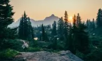 Nature’s Unfair, Progressives Hate It 