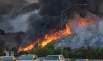 California Legislators Call on the EPA to Tighten Pollution Regulations Without Interfering With Controlled Wildfire Burns