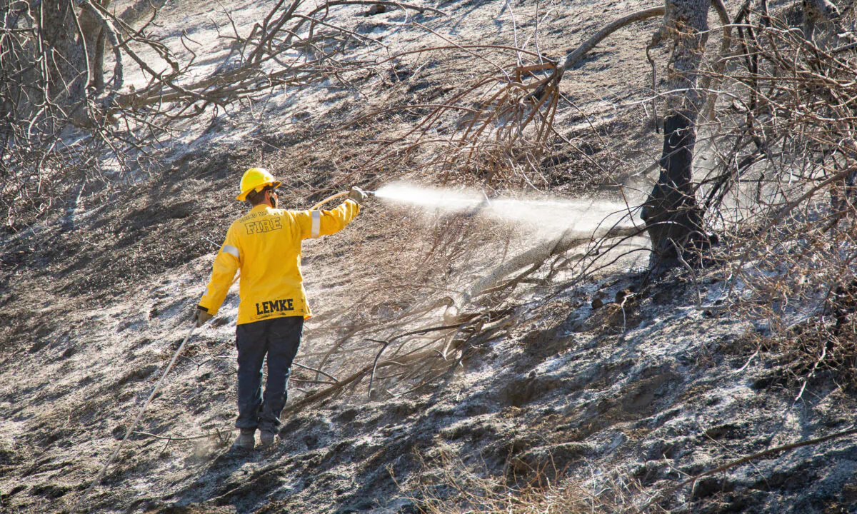 A firefighter sprays water on a scorched tree burned during the Blue Ridge Fire in Yorba Linda, Calif., on Oct. 29, 2020. (John Fredricks/The Epoch Times)