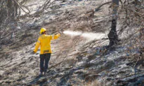 Evacuation Orders Lifted as Firefighters Battle to Contain Blue Ridge Fire