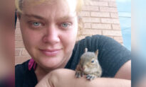 Homeless Couple Save Starving Baby Squirrel From Busy Road, Share Food to Keep Him Alive