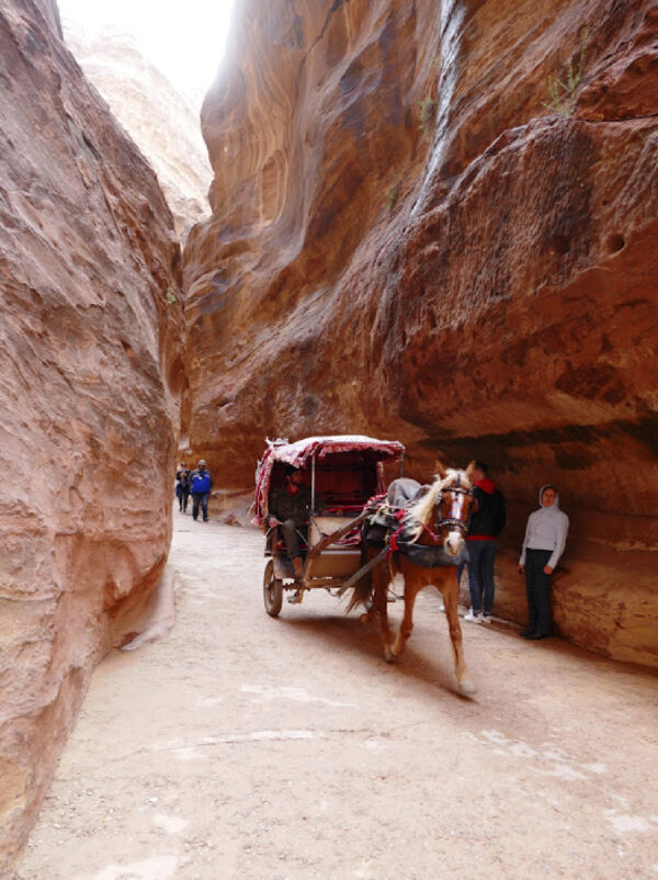 horse cart
