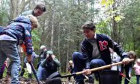 No Budget yet for Liberals’ Promise to Plant 2 Billion Trees by 2030