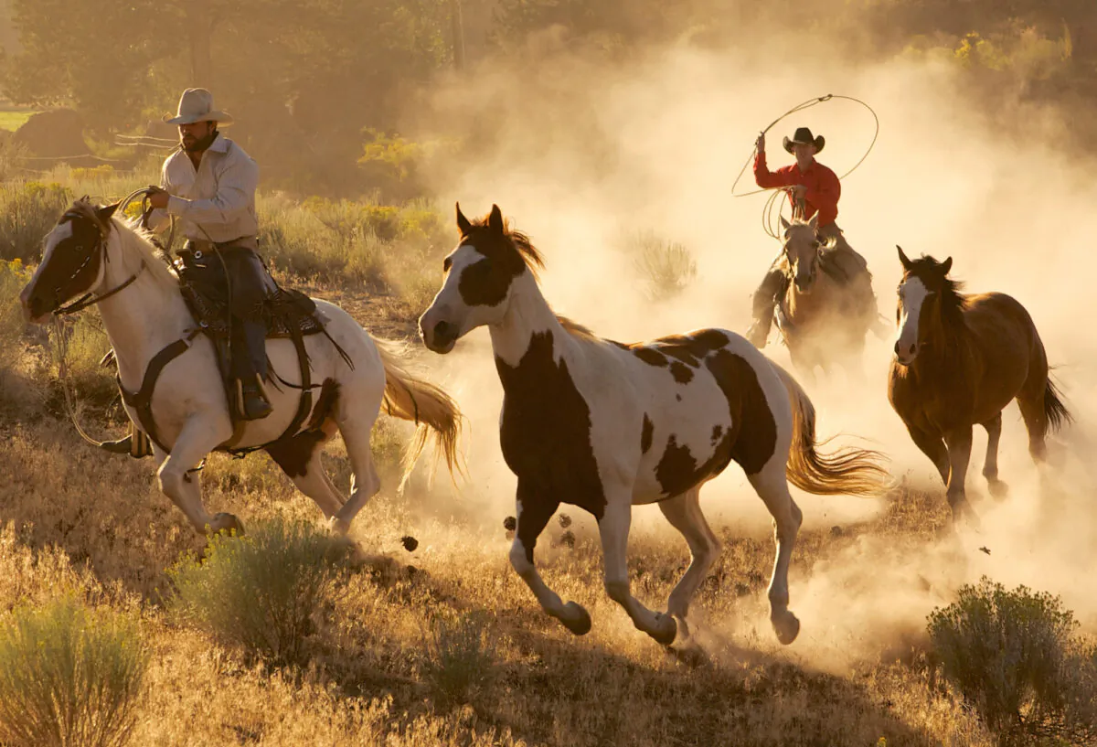Jim Owen, the author of "Cowboy Ethics," pointed out the basics undergirding the code of manners in the Old West. They were as simple as working hard, knowing right from wrong, and following the Golden Rule. (Jeanne Provost/Shutterstock)