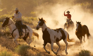 Mamas, Don’t Let Your Cowboys Grow Up to Be Babies