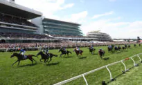 Twilight Payment Wins the Melbourne Cup