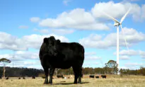 PM Greeted by Farmers Protesting Large-Scale Net Zero Transmission Lines