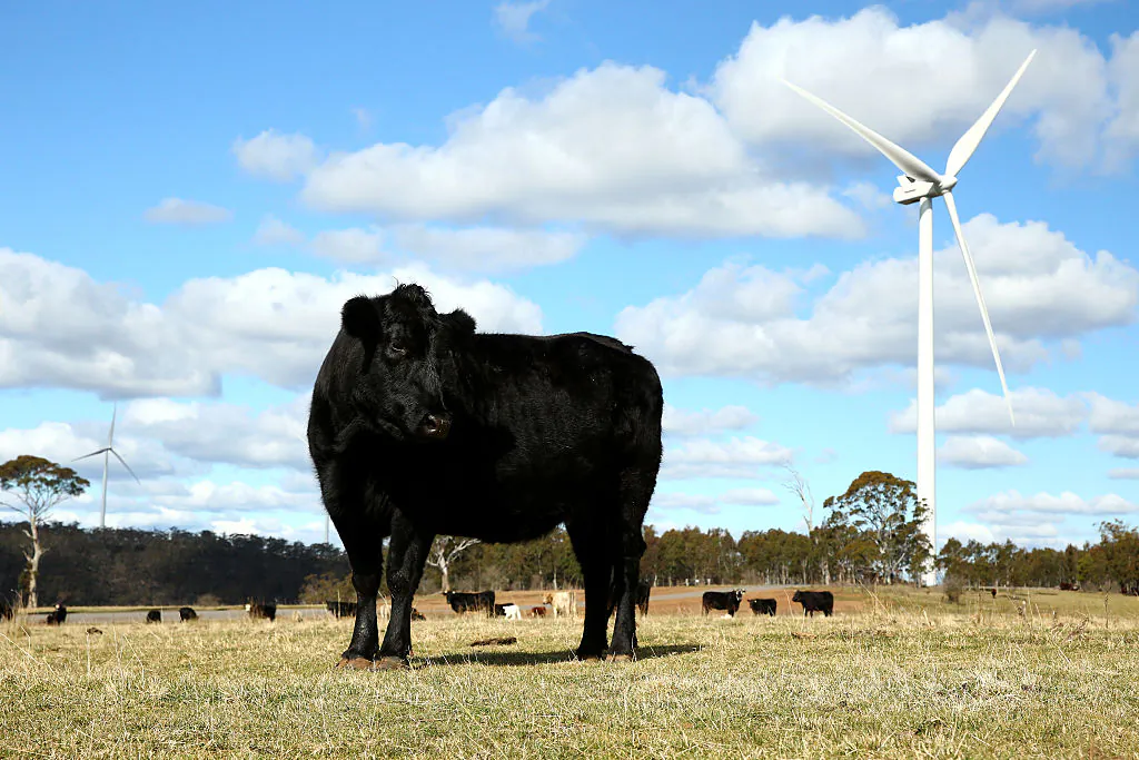 Taralga Wind Farm in Taralga, NSW, Australia on Aug. 31, 2015. (Mark Kolbe/Getty Images)
