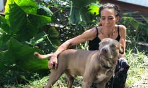 Animal Shelter in Florida Lauded for Helping Owner Reunite With Her Deaf Dog for Free