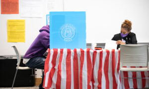 2 Georgia Counties Experience Delays in Vote Counting