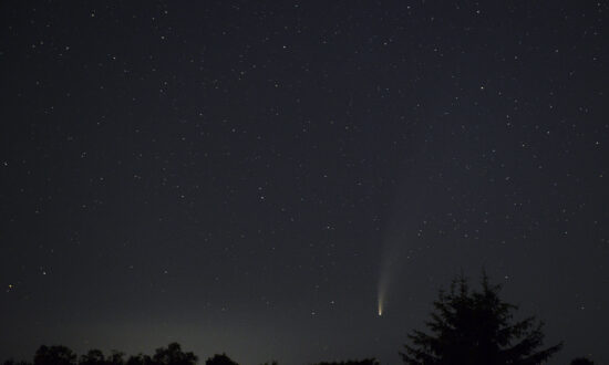 Astronomers Discover Source of Radio Wave Bursts