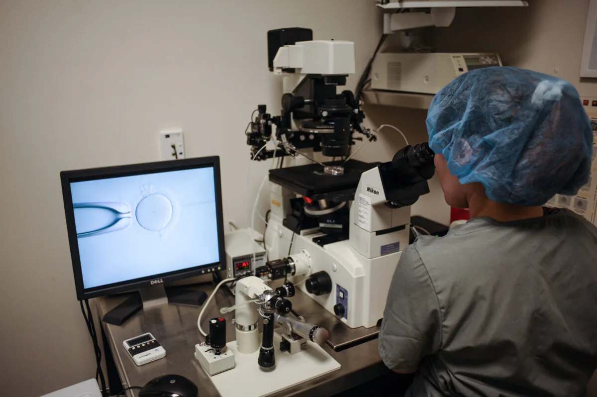 An embryologist at work at the Virginia Center for Reproductive Medicine, in Reston, Va., on June 12, 2019. (Ivan Couronne/AFP via Getty Images)