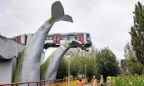 Metro Train Flew Off Raised Railway but Was Saved by Whale Tail Sculpture in Netherlands