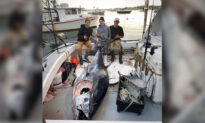 Teen Fishermen Reel In ‘Absolute Beast’ 10-Foot Bluefin Tuna Weighing Over 1,000 Pounds
