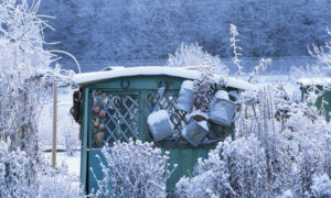 Preparing Your Garden for Winter