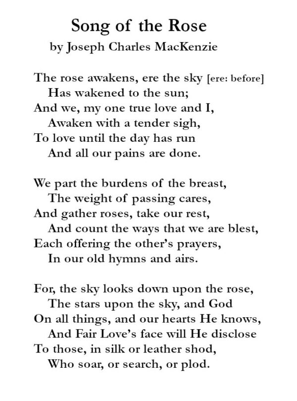 Song of the Rose