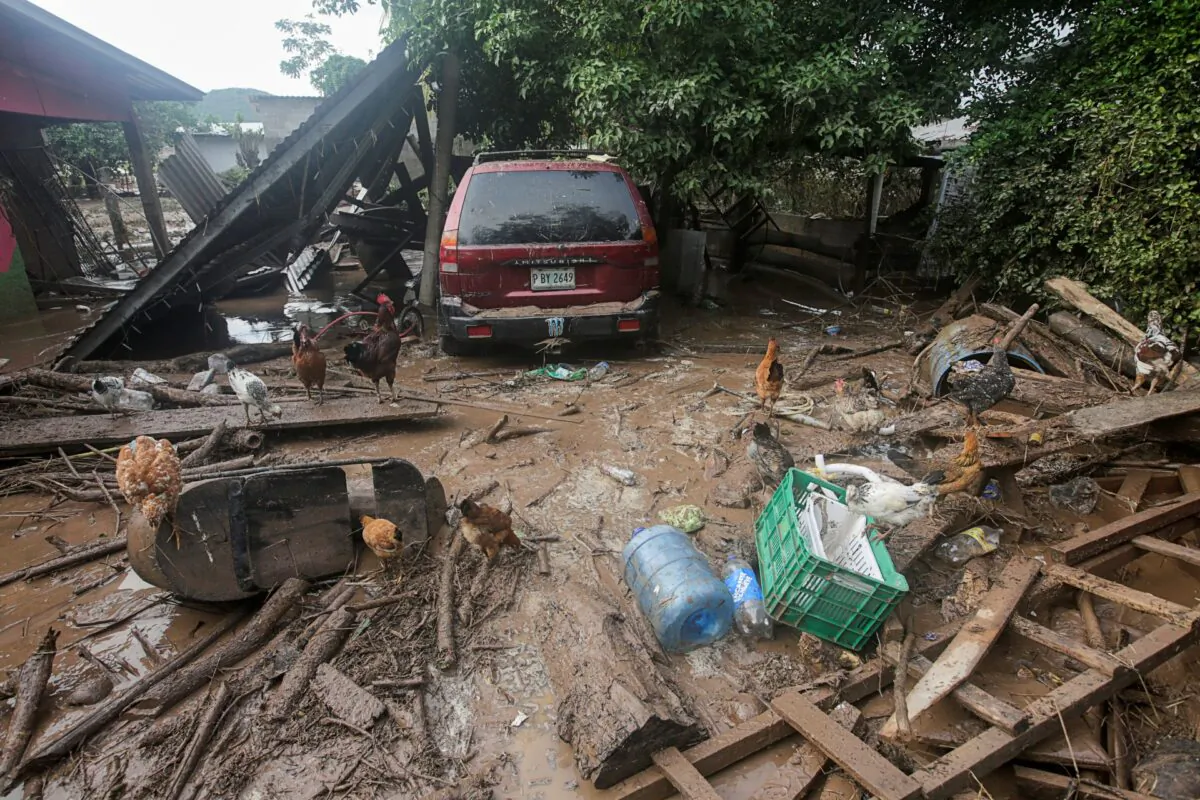 Chickens are pictured among debris and mud at the patio of a house damaged after the passage of Storm Eta, in Pimienta, Honduras, on Nov. 6, 2020. (Jorge Cabrera/Reuters)