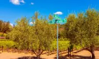 Wine Talk: Napa Valley on the Rebound