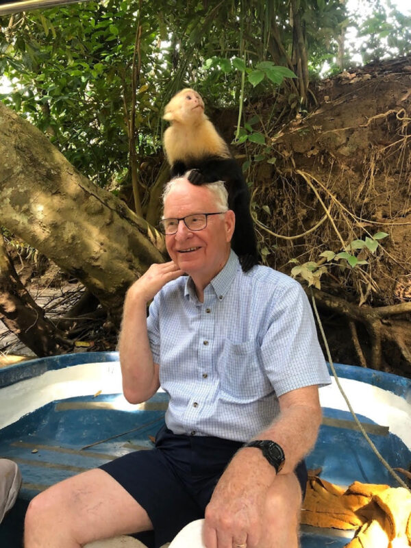 capuchin monkey