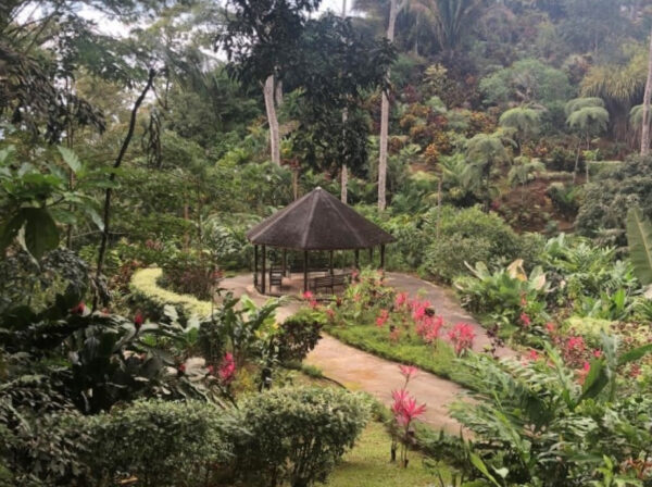 Up Close To Nature In Tropical Costa Rica