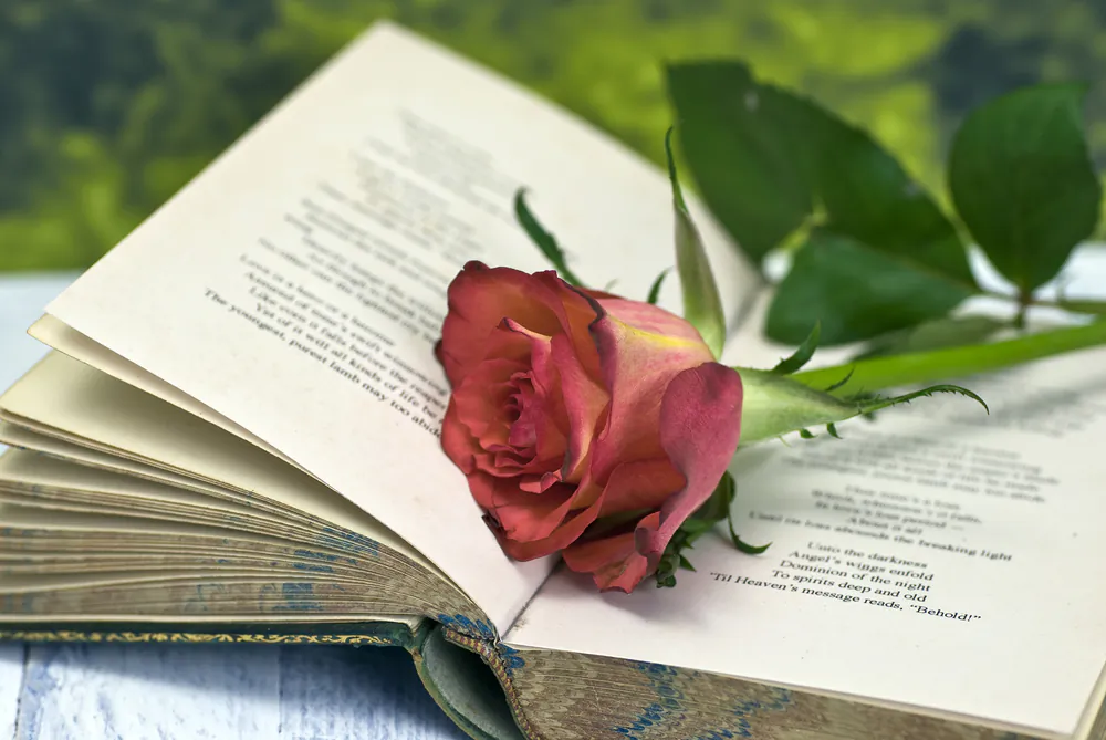 Poetry is associated with love, but it can evoke anything our minds can imagine. (Graeme Dawes/Shutterstock)