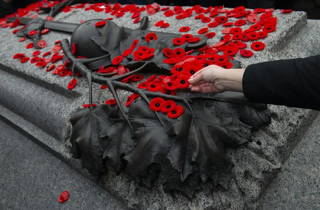 A poppy is placed on the Tomb of the Unknown Soldier following a Remembrance Day ceremony at the National War Memorial in Ottawa, on Nov. 11, 2019. (The Canadian Press/Sean Kilpatrick)