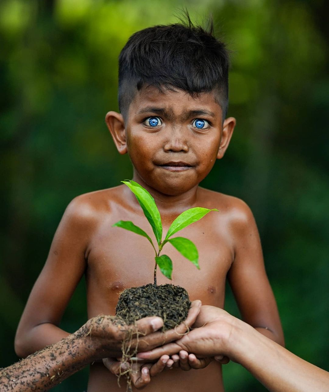 Indonesian Tribe Full of People With Startling Blue Eyes Will Take