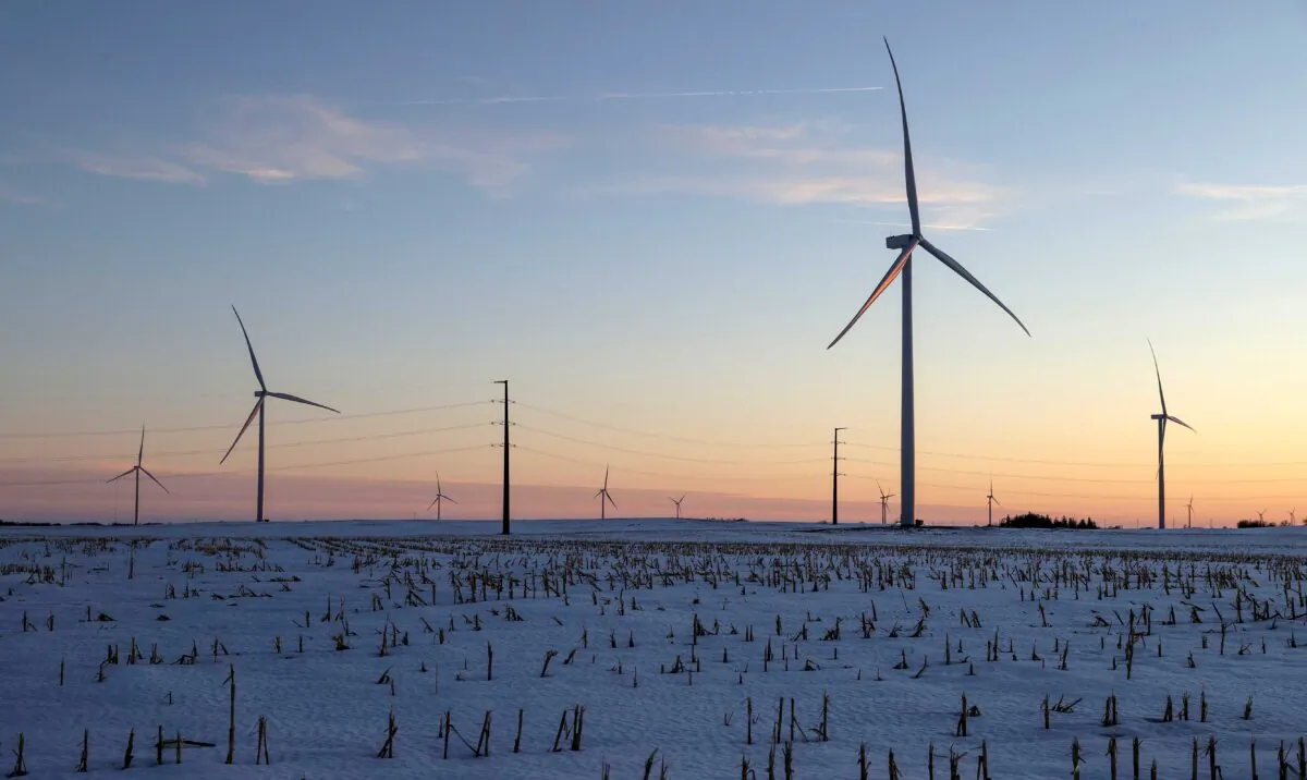 A wind farm shares space with corn fields in Latimer, Iowa, on Feb. 2, 2020. (Jonathan Ernst/Reuters)